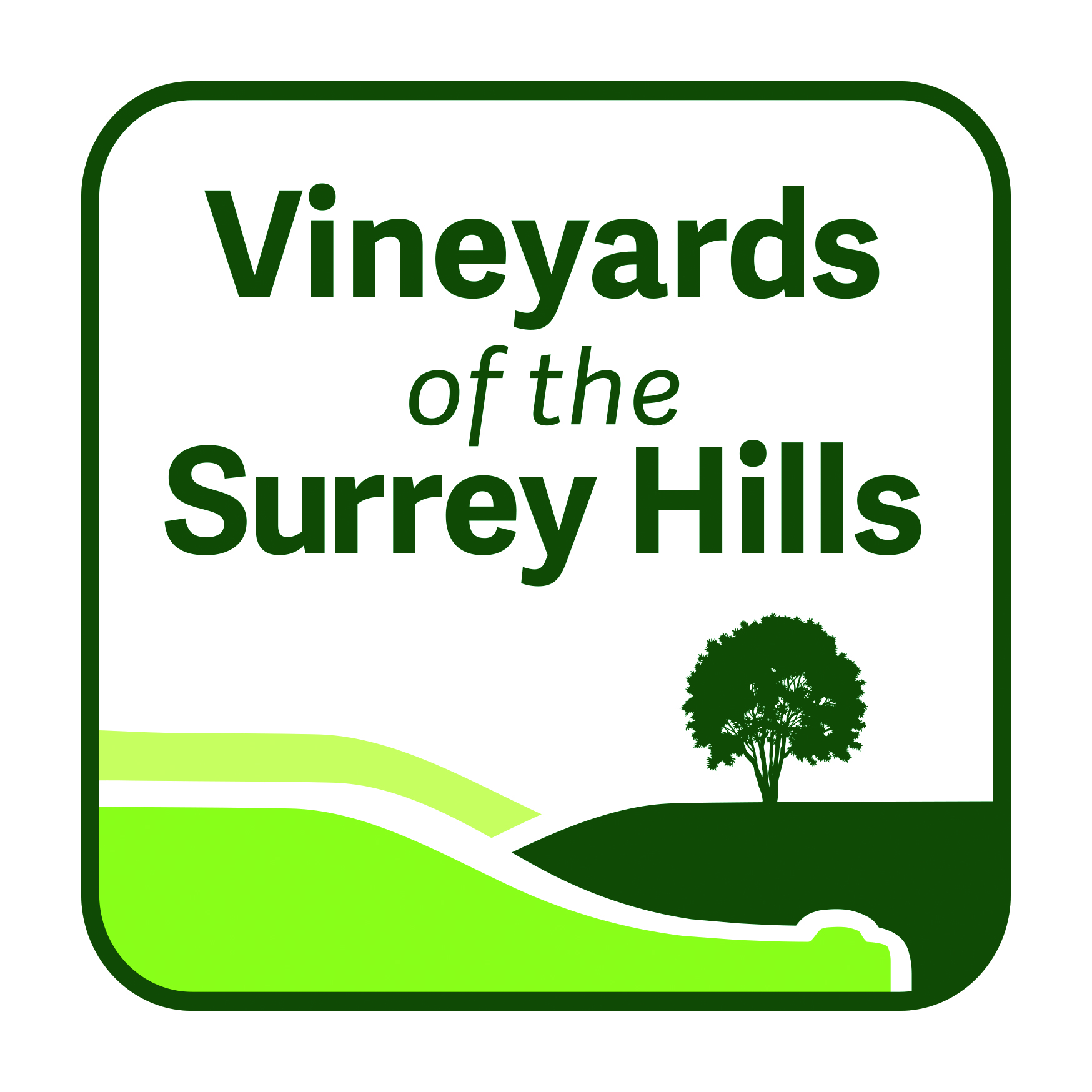 You are currently viewing A guide to the Vineyards of the Surrey Hills