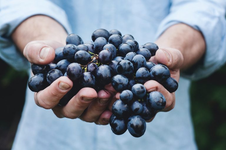 Read more about the article Five unusual English grape varieties to try this year