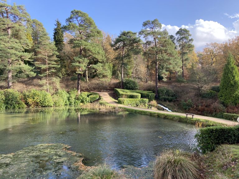 Read more about the article The Sussex garden home to the UK’s first Pinotage vineyard