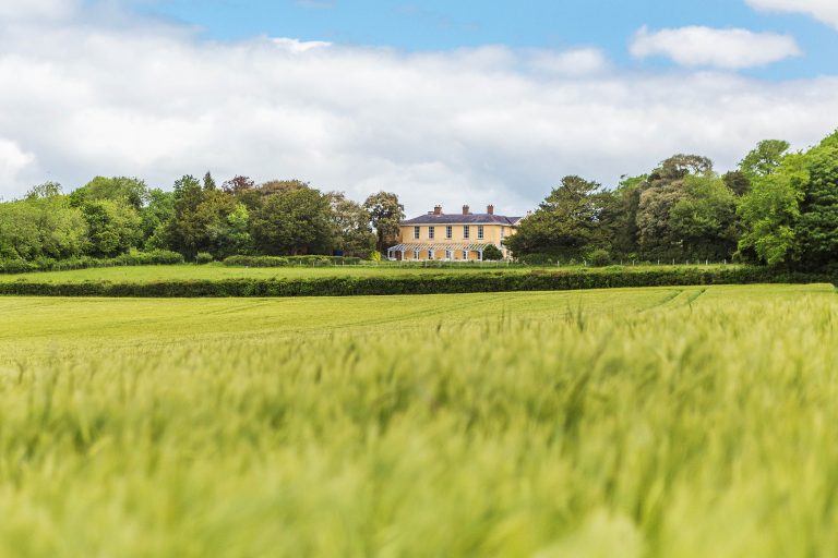 Read more about the article Staycation 2021: The new vineyard hotel to check into this summer