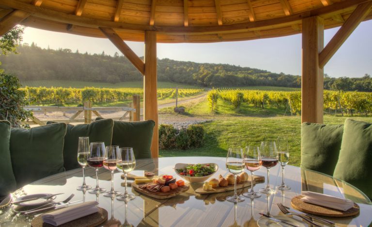 Read more about the article These are the most beautiful vineyards in Britain
