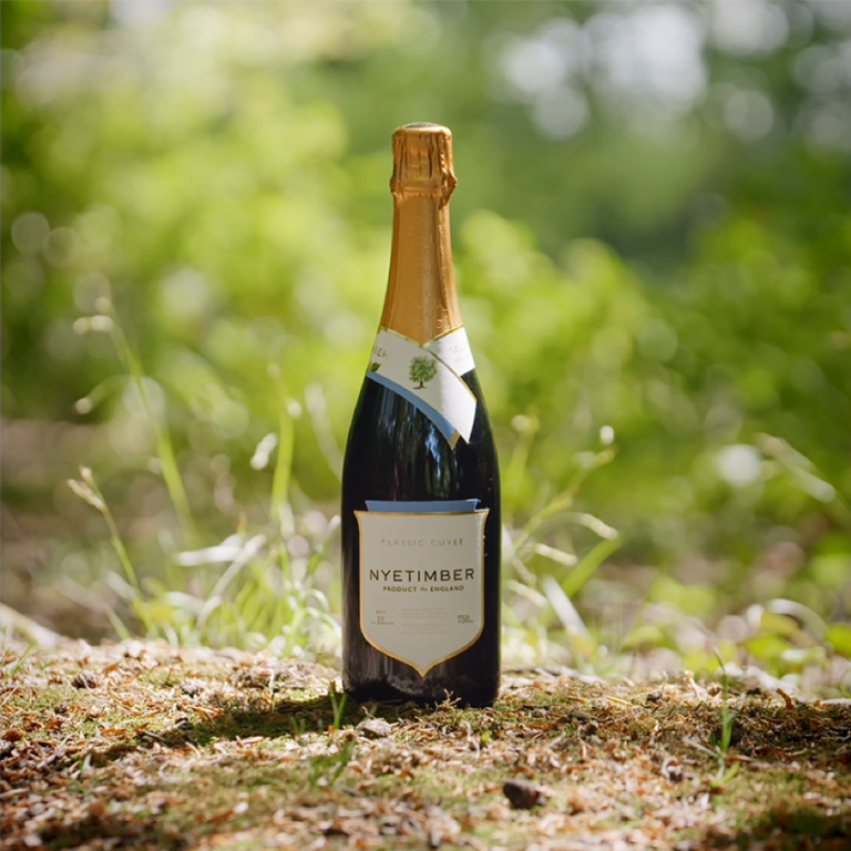 Read more about the article Nyetimber supports South Downs tree campaign with limited edition release