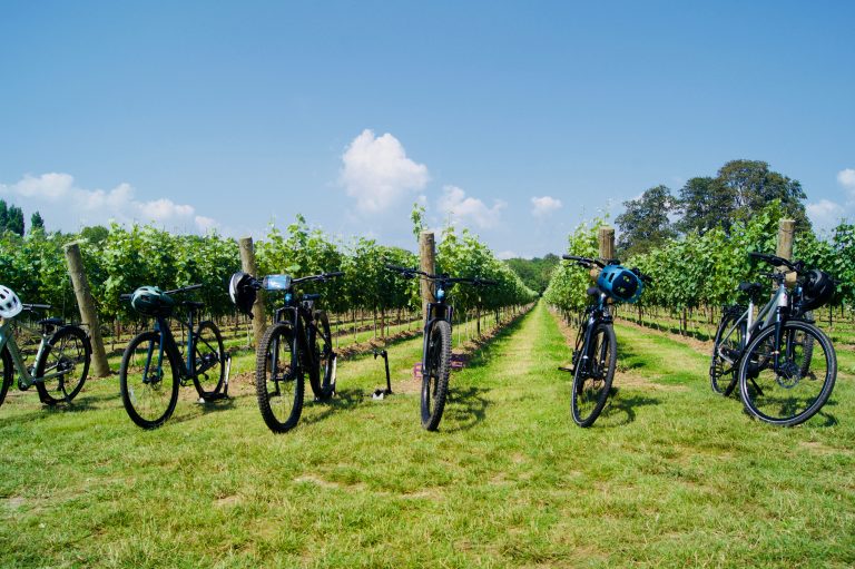 Read more about the article If you do one thing this summer…explore the Great Sussex Way Wine Tour