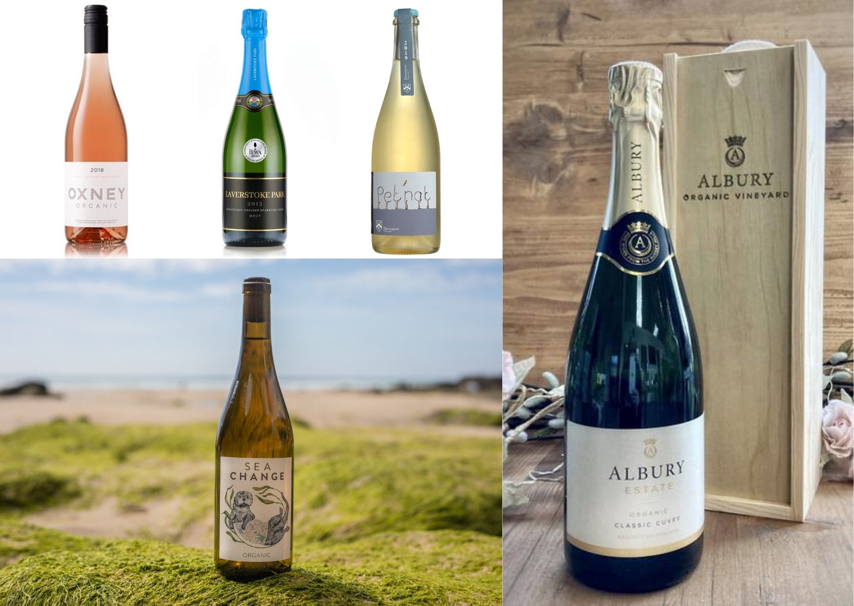 You are currently viewing 5 English organic wines to try this Organic September