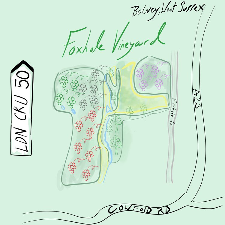 Read more about the article London Cru buys Foxhole Vineyard in West Sussex