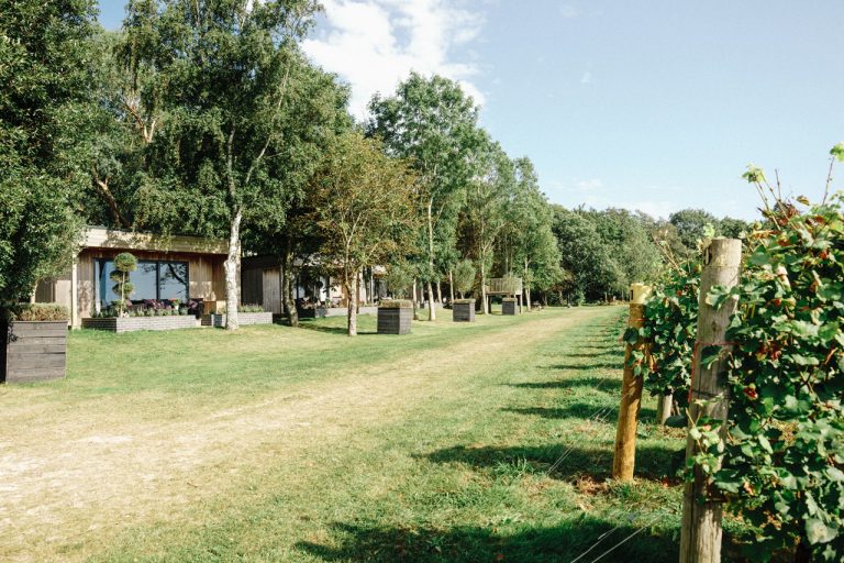 Read more about the article New lodges open at Tinwood Estate in West Sussex